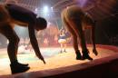 les NoNo font leur cirque 46 * 3504 x 2336 * (2.88MB)